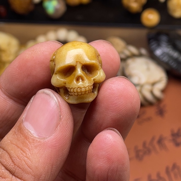 驼骨摆件人工养殖