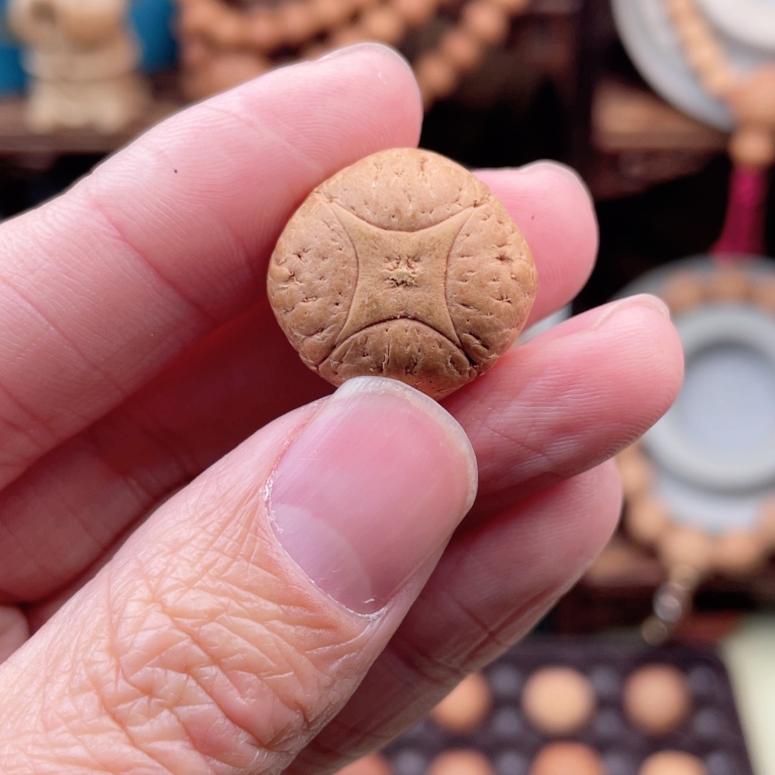 吊坠凤眼菩提元*麒麟