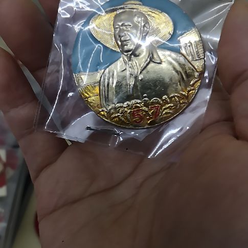 合金文**蜡红藏纪念章一个