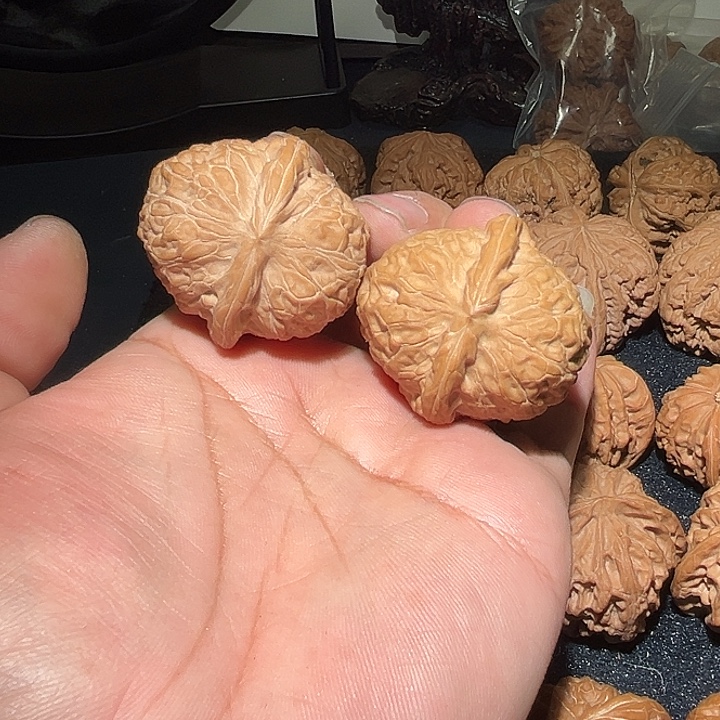 瑙***谷木42精品南瓜敦。 