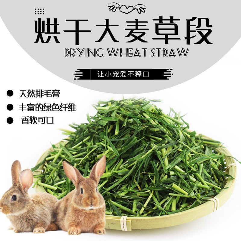 新鲜烘干大麦草段小宠物主食营养粗纤维兔子豚鼠龙猫牧草粮食