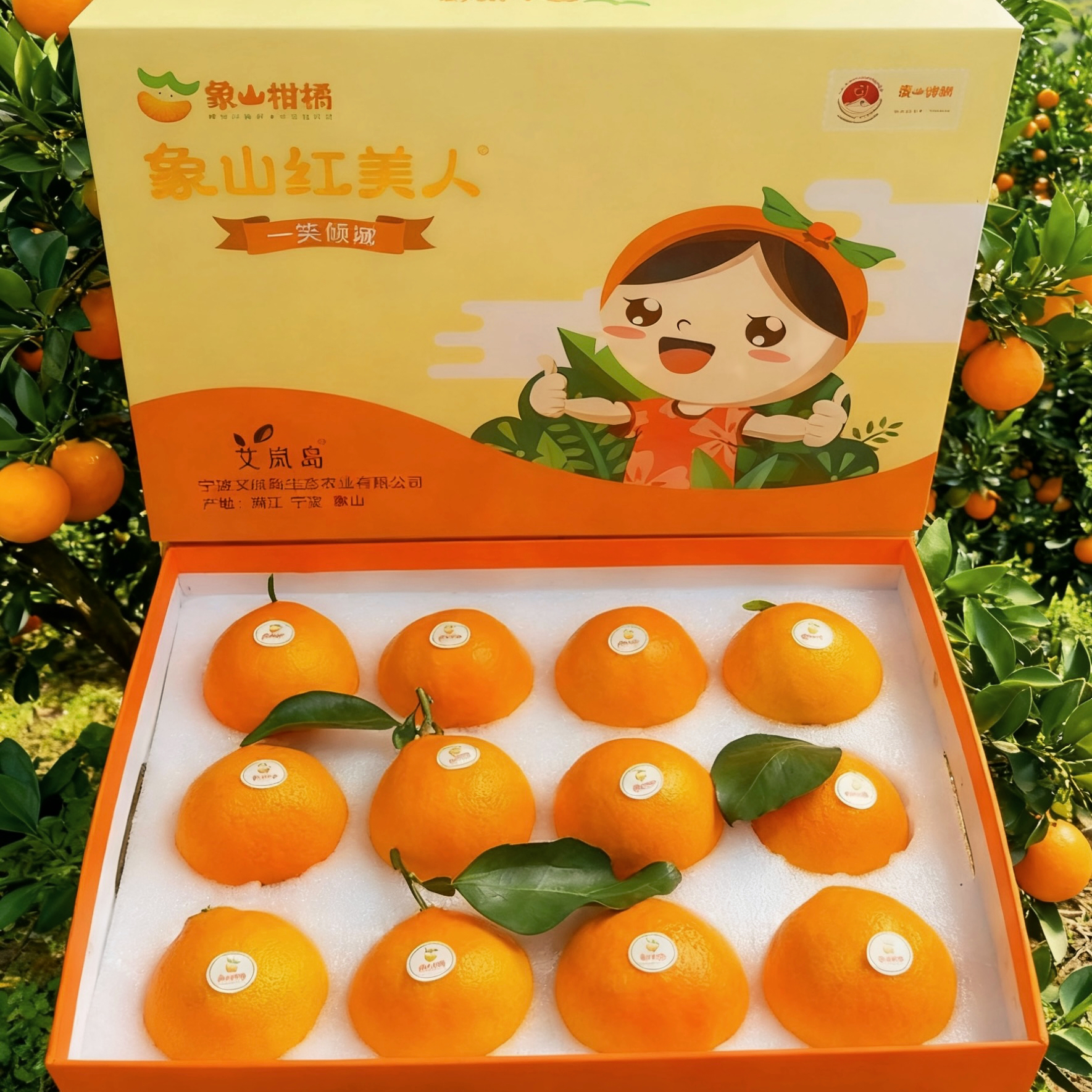 【10斤正宗象山红美人】原产地新鲜采摘柑橘现摘现发爱媛28号鲜香甜糯橘子果园直发应新鲜季水果浙江省