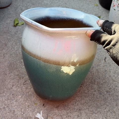 20/23微瑕微瑕的。  