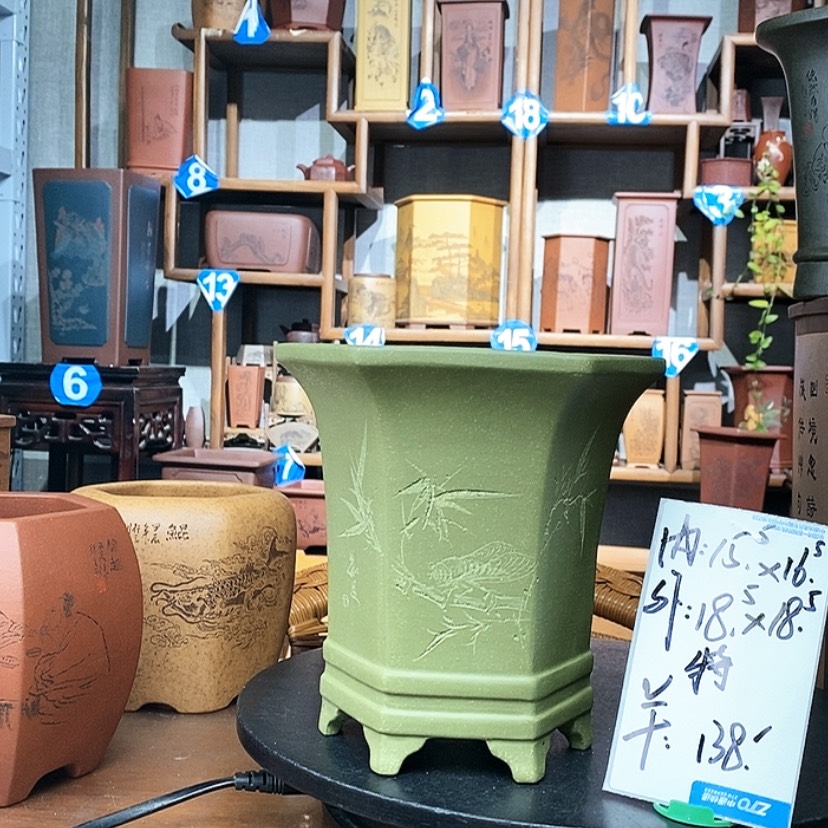 【闪购商品】紫砂果绿泥特价