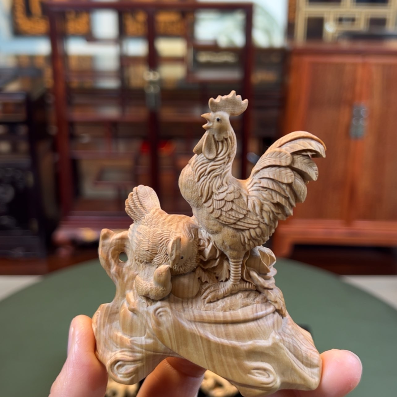 【闪购商品】黄杨木其他黄杨木