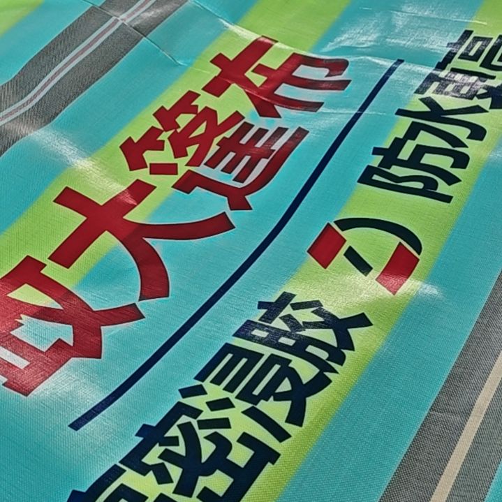 绒质666666666666666666666666666666666666666