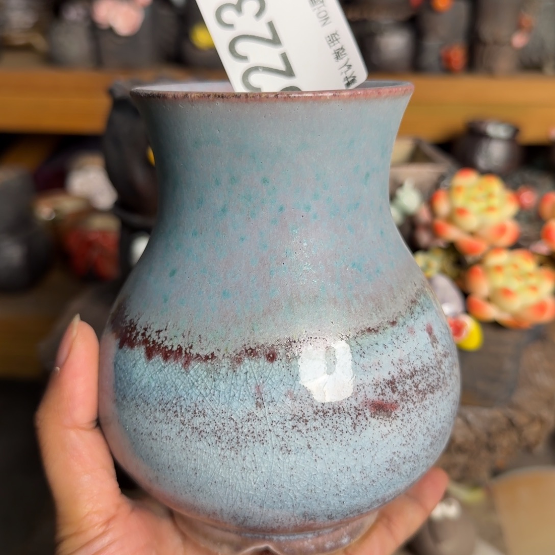 重庆小燕子欢迎大家223