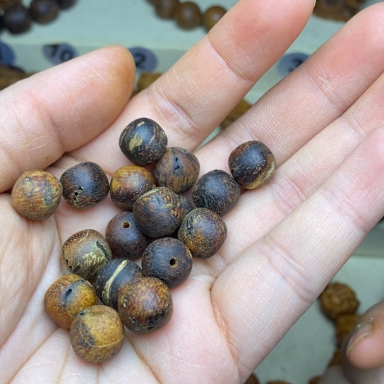 贡木手串/手链手***辰贡木