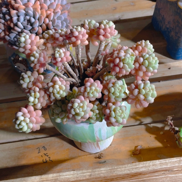 @***光谢谢你的支持000000060