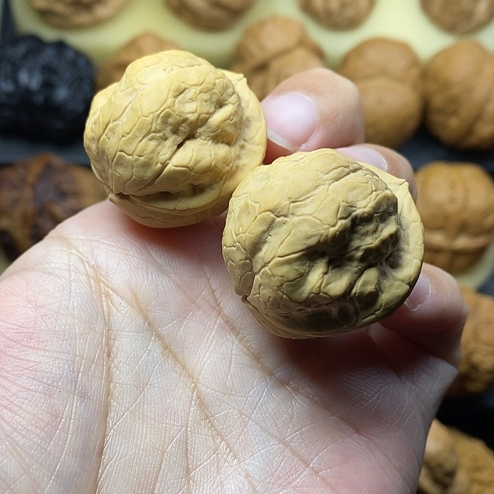 吊坠桃核铁鹦鹉30尺