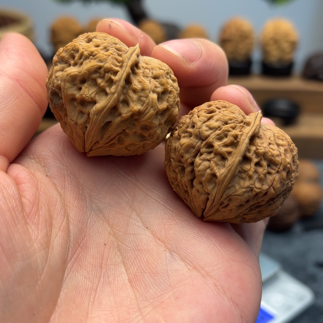 文玩核桃把件铁核桃17-29