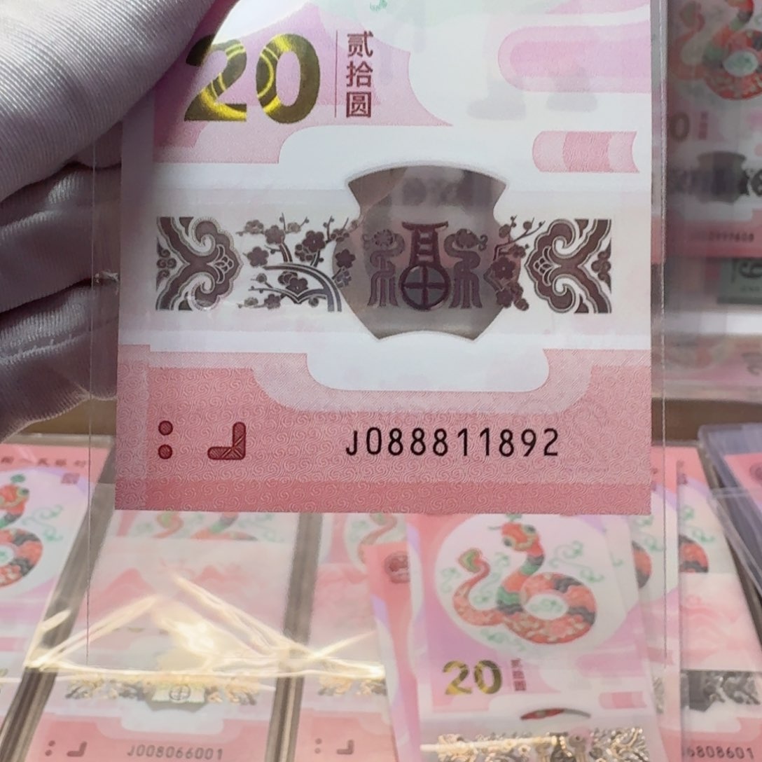 塑料蛇钞J088811892不支持七天无理由