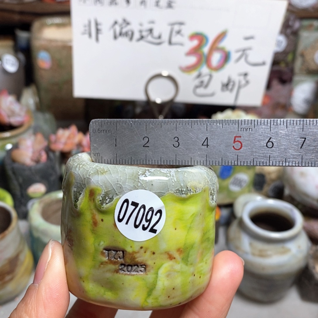 花盆拍3送一个小礼物