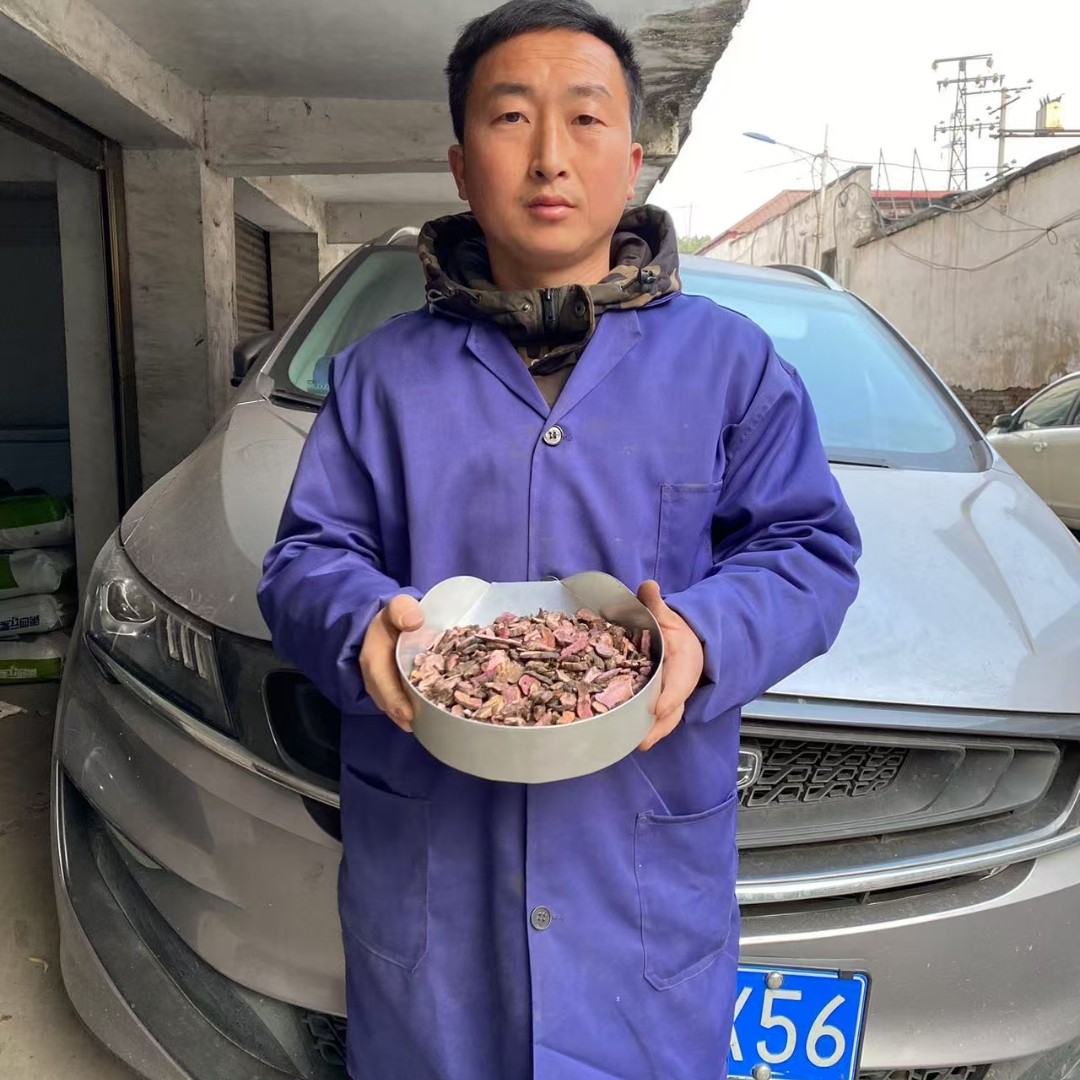 拳参 甘肃拳参 别名紫参肉紫色大山采挖农家货货