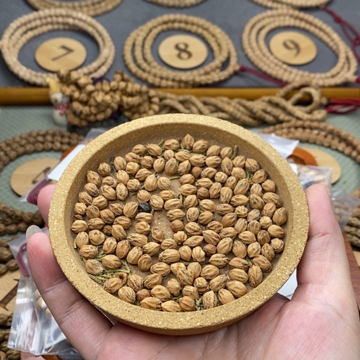 柏香籽/百香籽手串