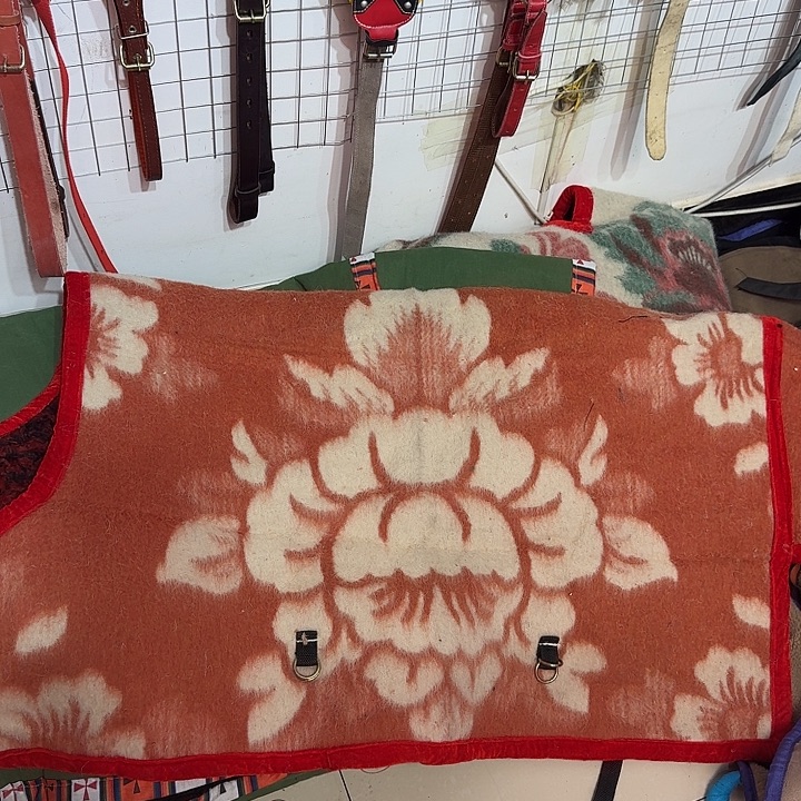 毛毯马衣小号邮政快递