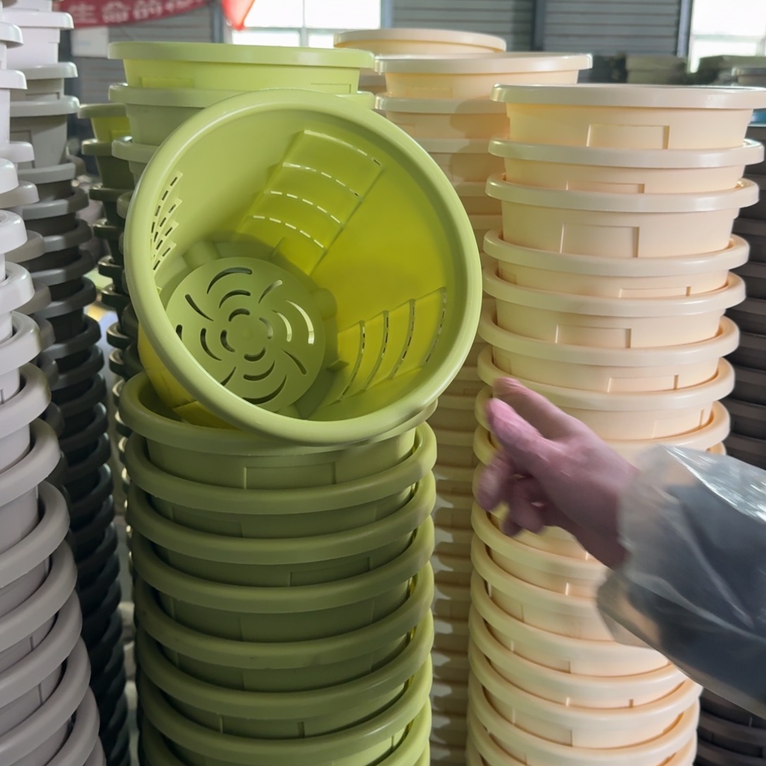 测孔2号果绿色5个