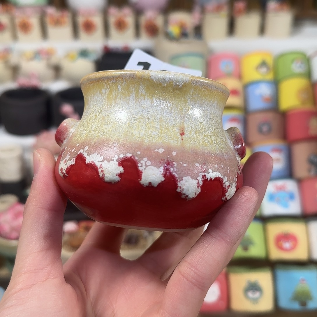 190 口5 福利特惠花盆 