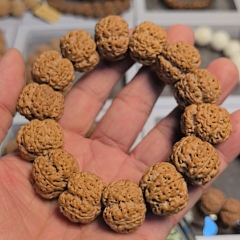 就***这把件金刚菩提梁梅花大金刚手串，22左右尺寸，原皮原色