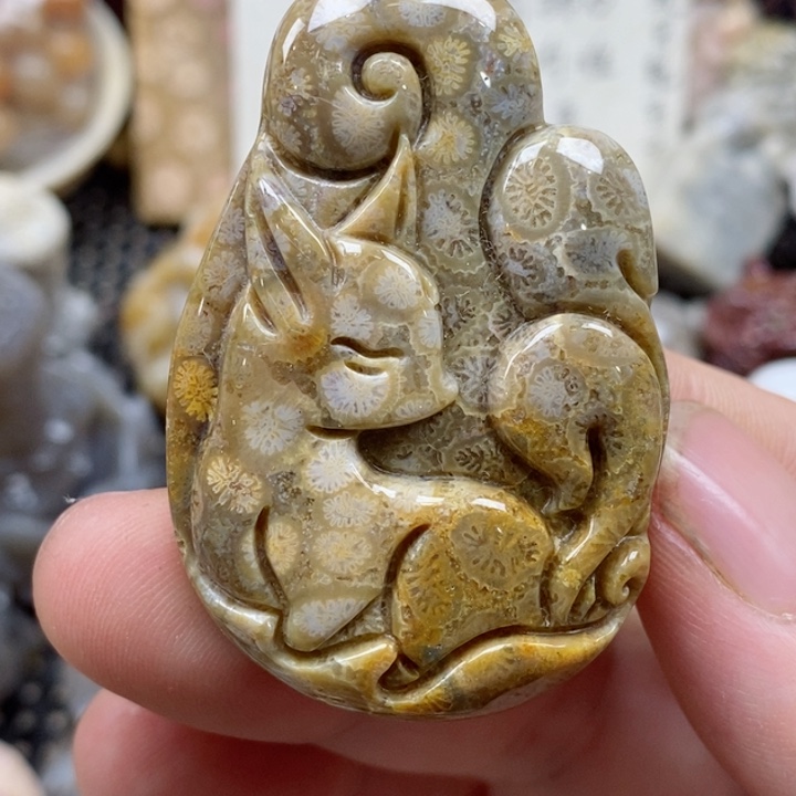 颈饰未镶嵌硅化珊瑚（珊瑚玉）