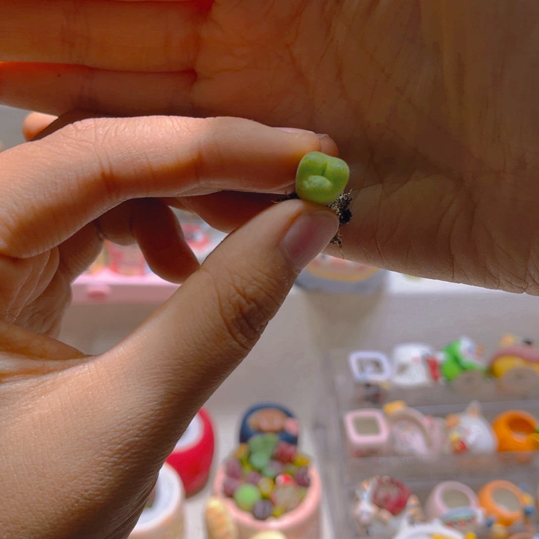 035奔驰翠光玉15.8一颗