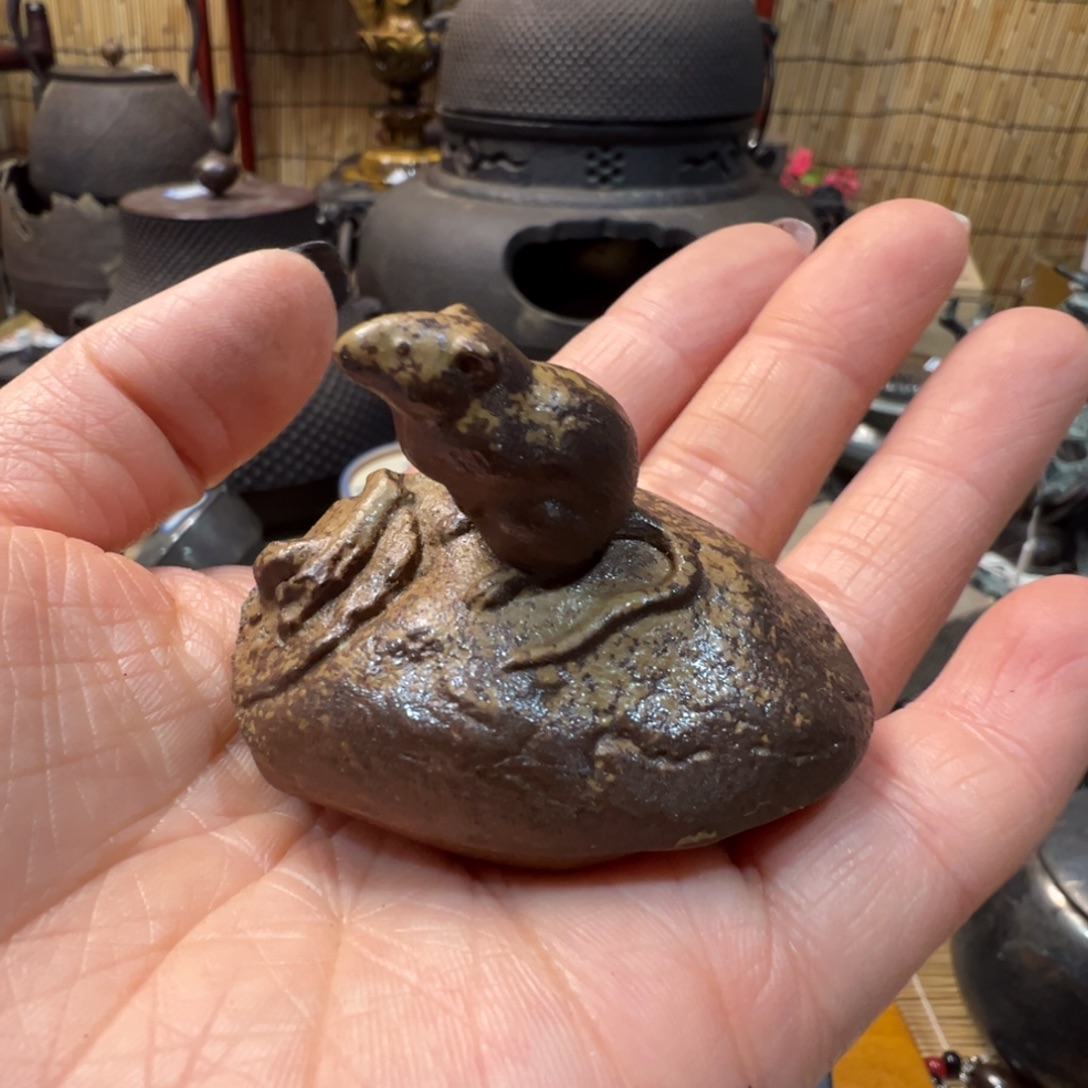 初遇见感谢大家支持