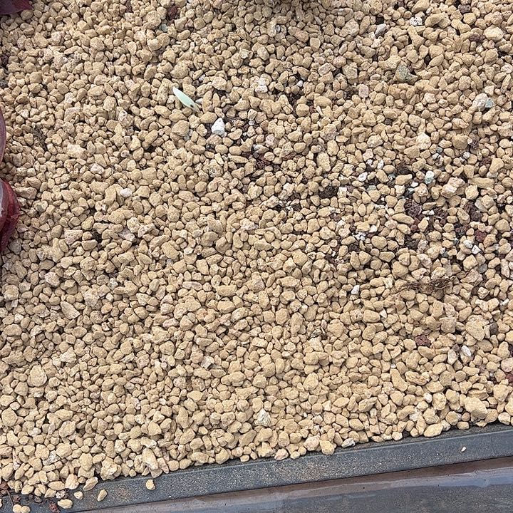 惊鸿仙子多肉植物专用土5斤