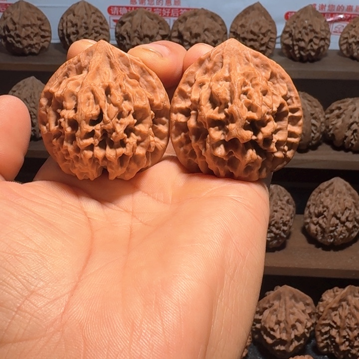 L***s秦岭野生帝王官帽