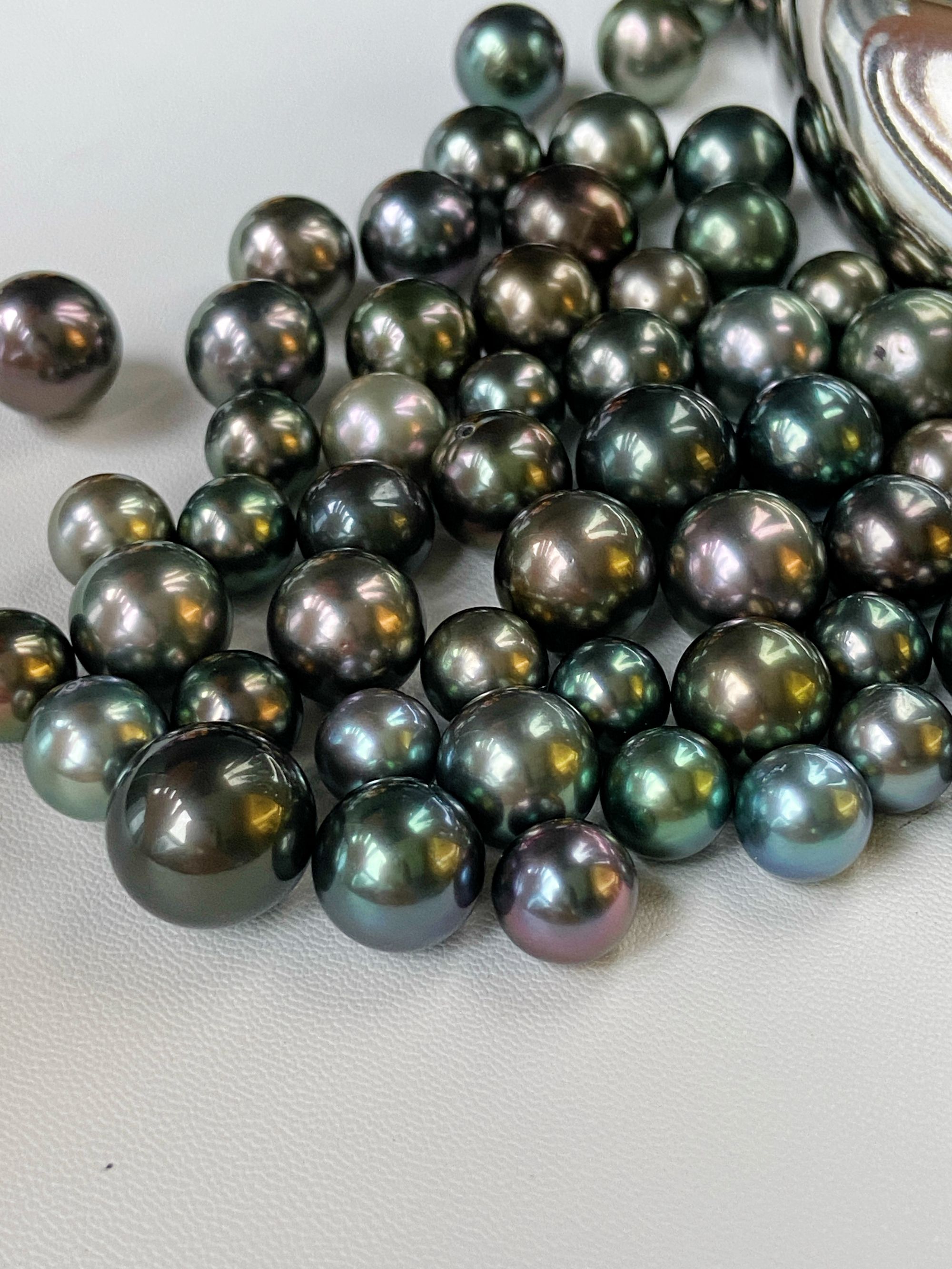 璨澜珠宝 专拍  大溪地黑珍珠 正品海水珍珠（多样性发一（乱拍不发