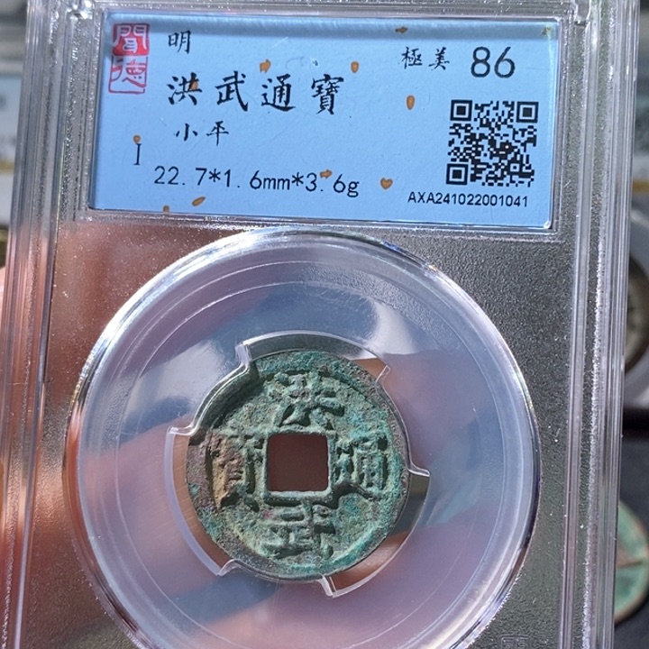 铜5洪武通宝闻德86 1041