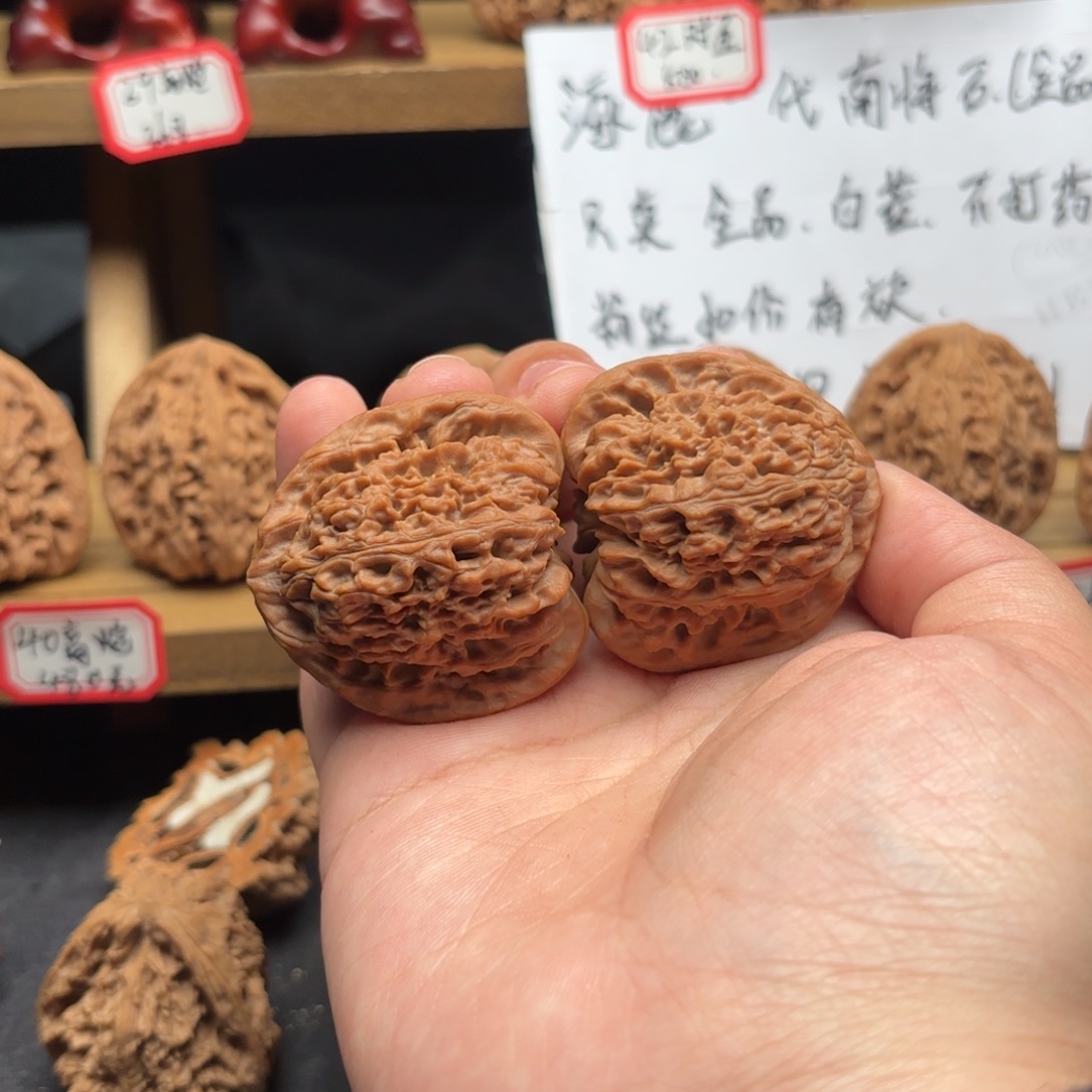 停***恼核桃涿鹿南疆一代