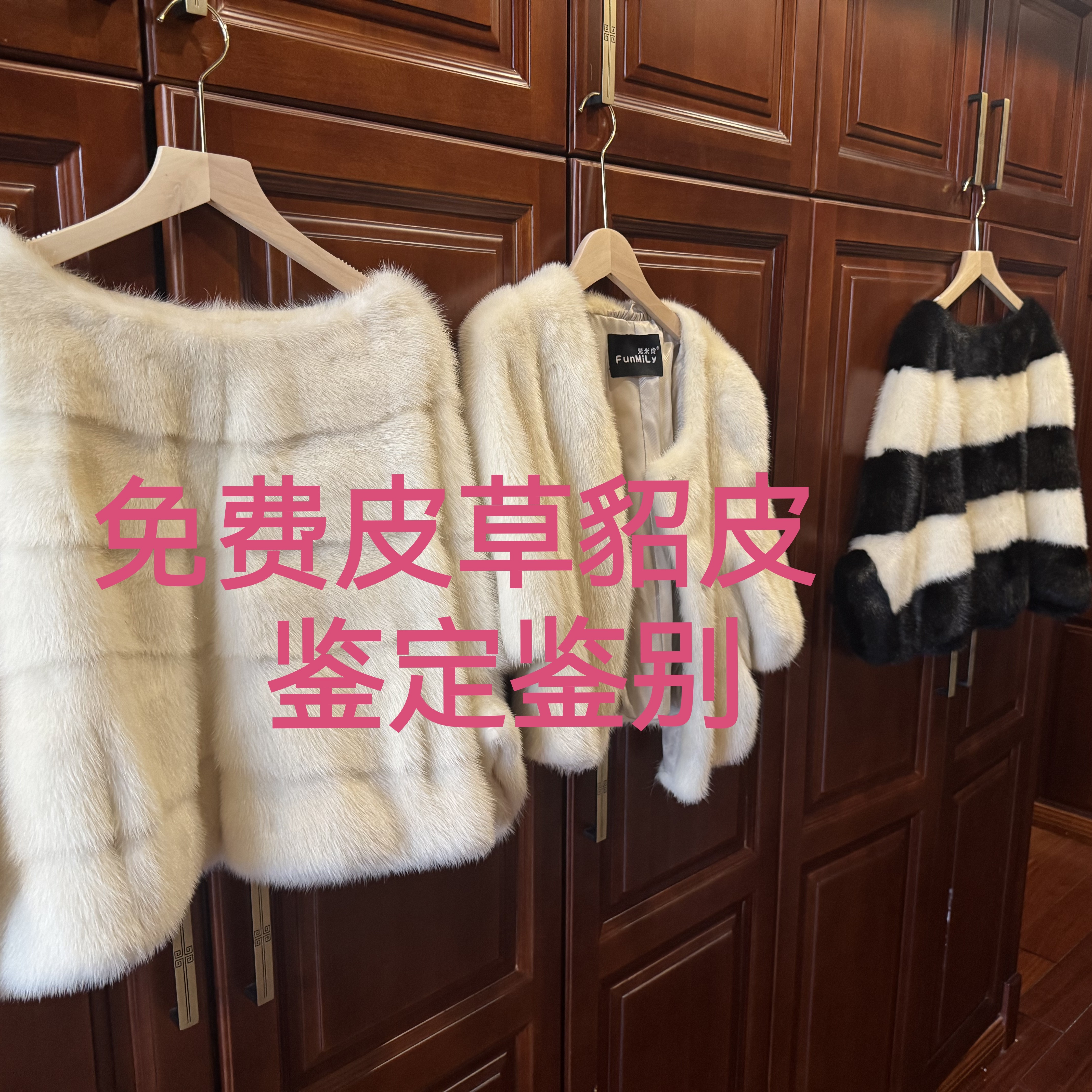 免费貂皮加厚皮草皮革鉴定鉴别不胡乱鉴定鉴别不胡乱说女款