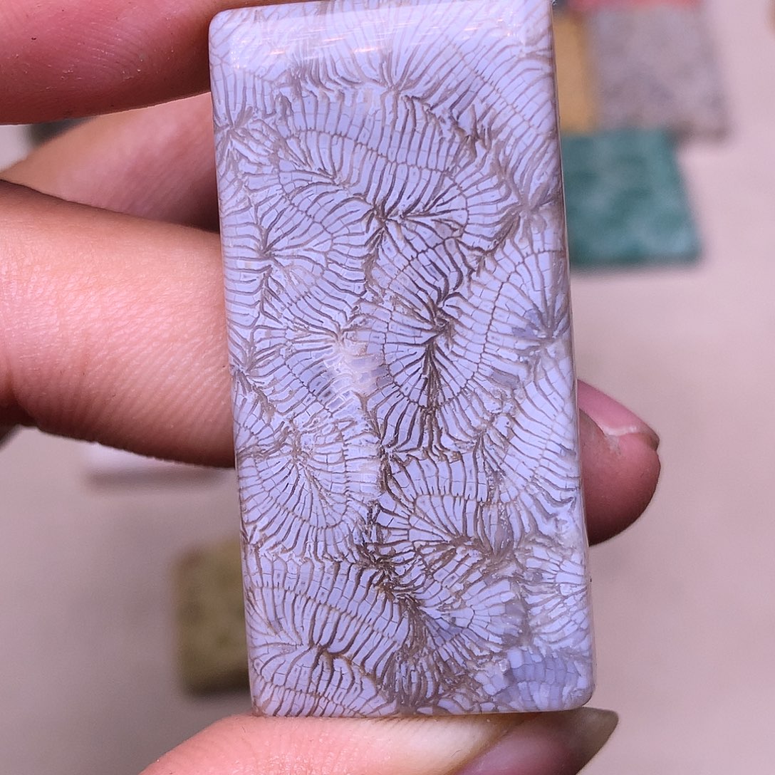 五***福硅化玉合金珊瑚玉