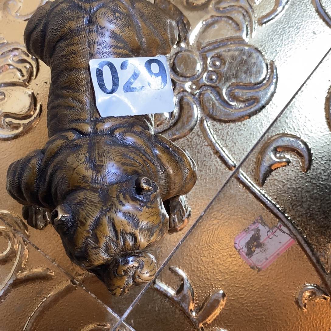 风***由今天晚上我就要开始学习