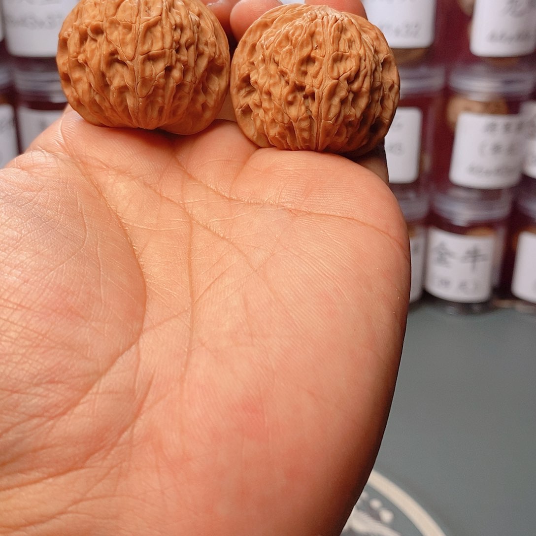 39尺寸全品山地磨盘文玩核桃