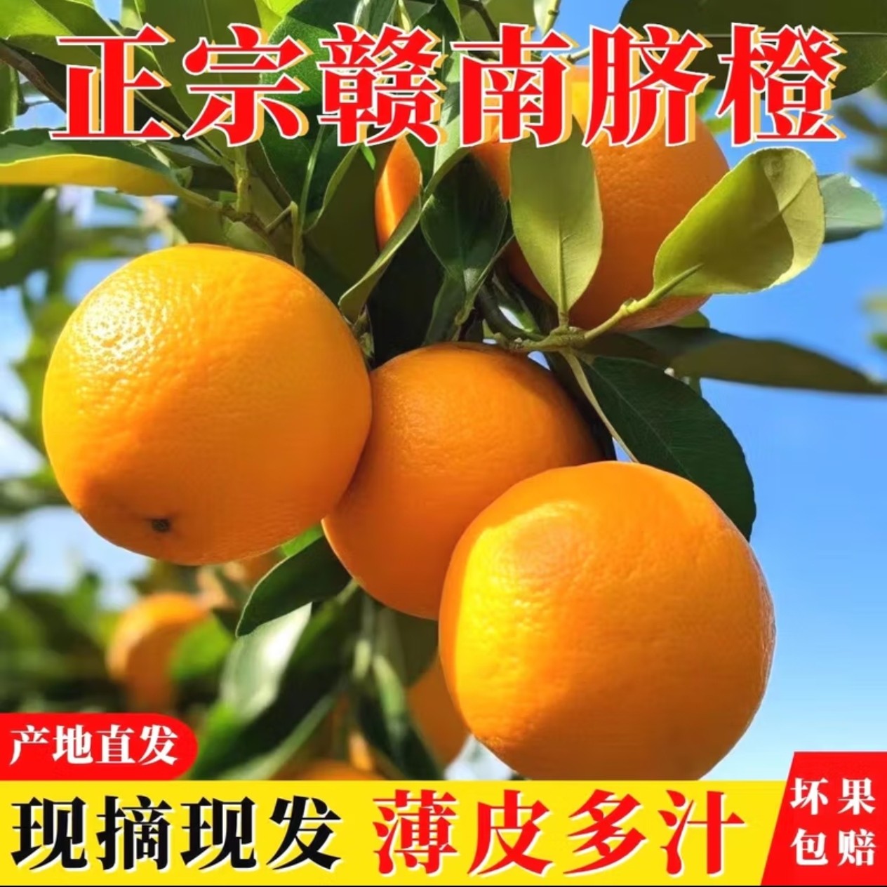 【彩箱送礼】正宗赣南脐橙20斤自家果园直发