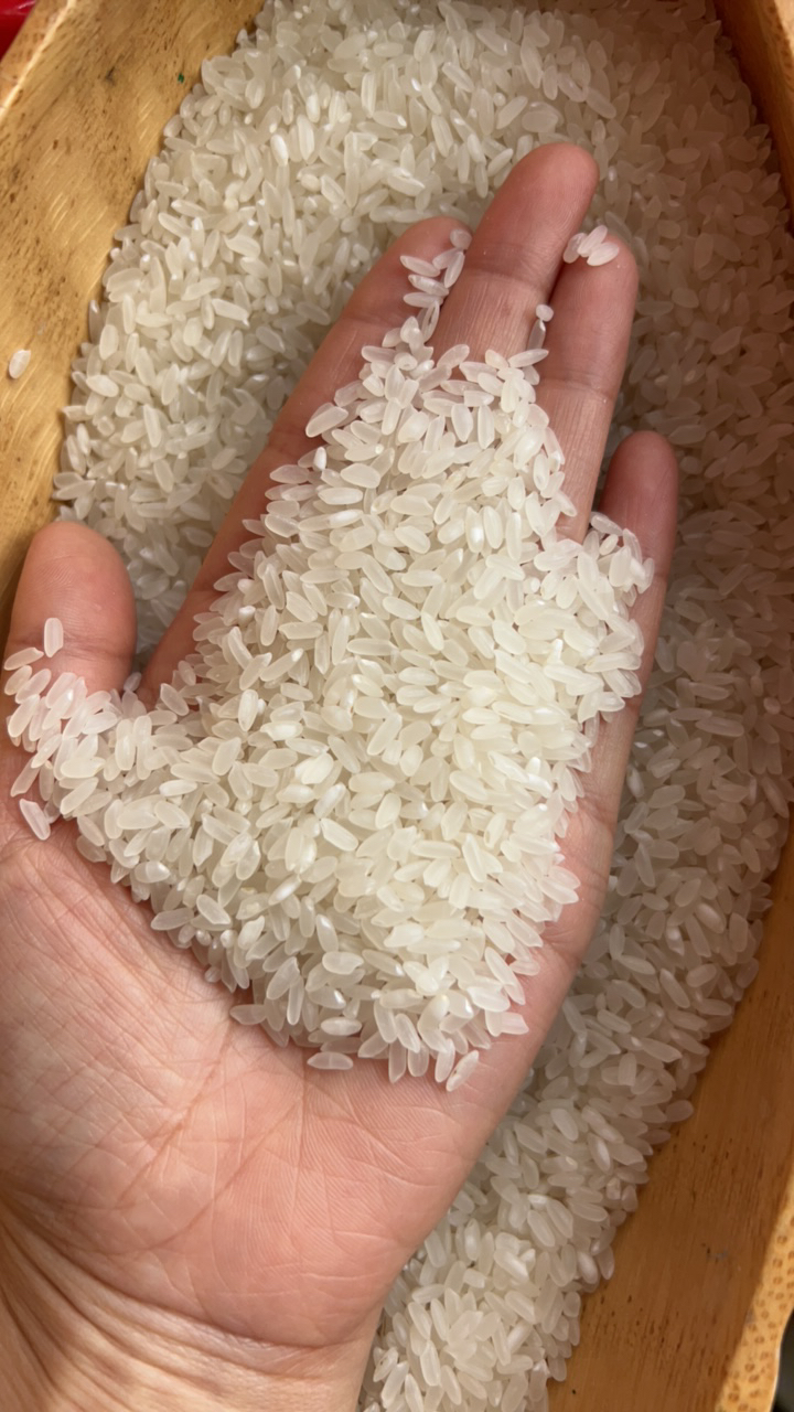 黑土地长粒 香 直播间对对碰新米现磨产地直发