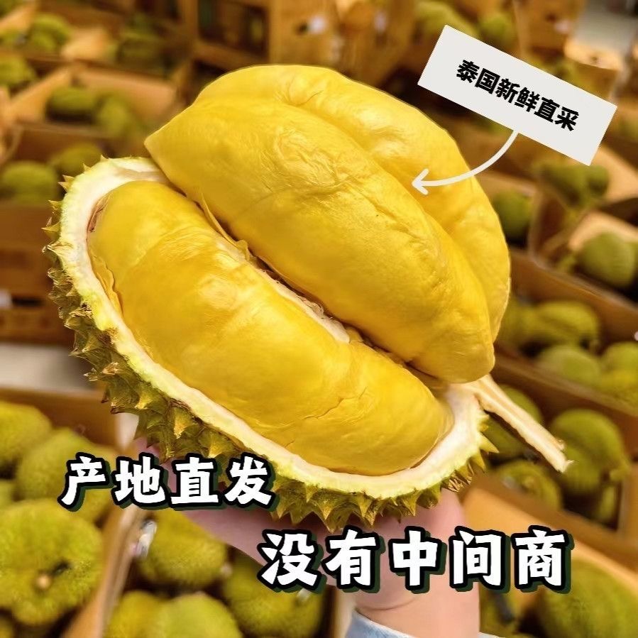 特价果（可能夹生偏熟，湿包微微酒味】金枕榴莲肉厚核小新鲜没有售后介意勿拍【娄底同城】纯肉2斤金枕越南
