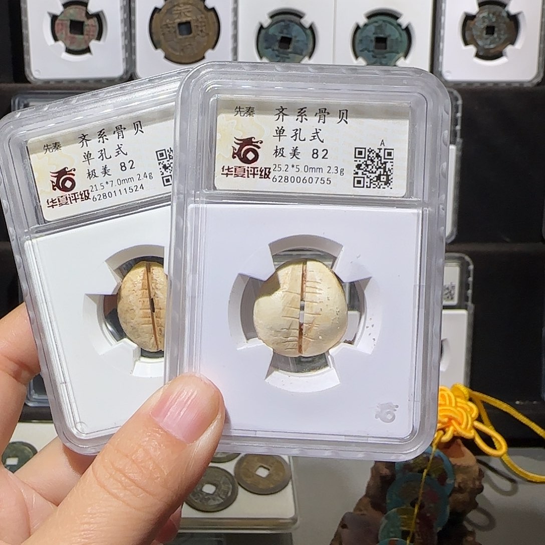 铜骨贝58一个99两个。。。。5#