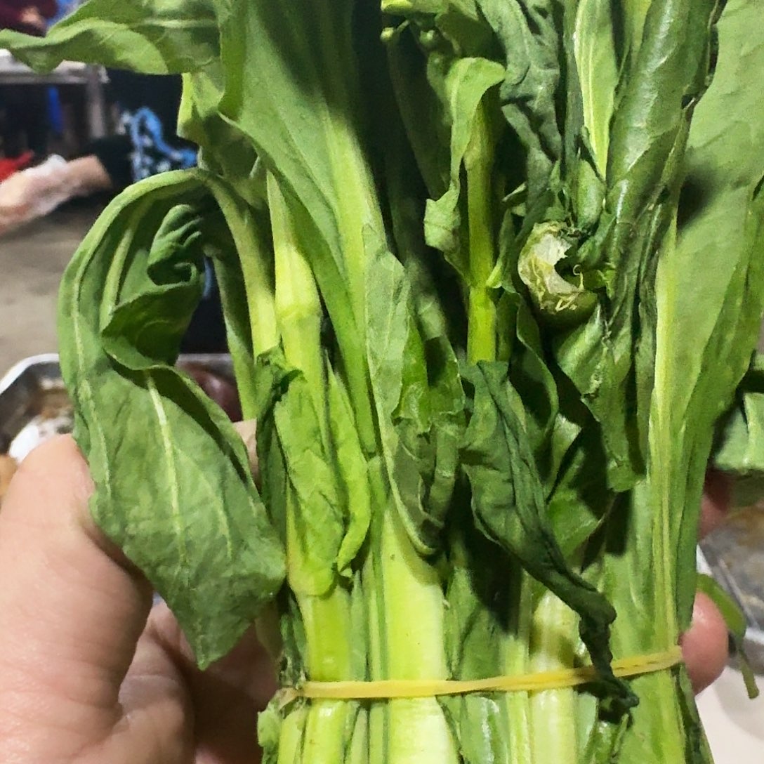 福***缘白菜中国大陆青菜