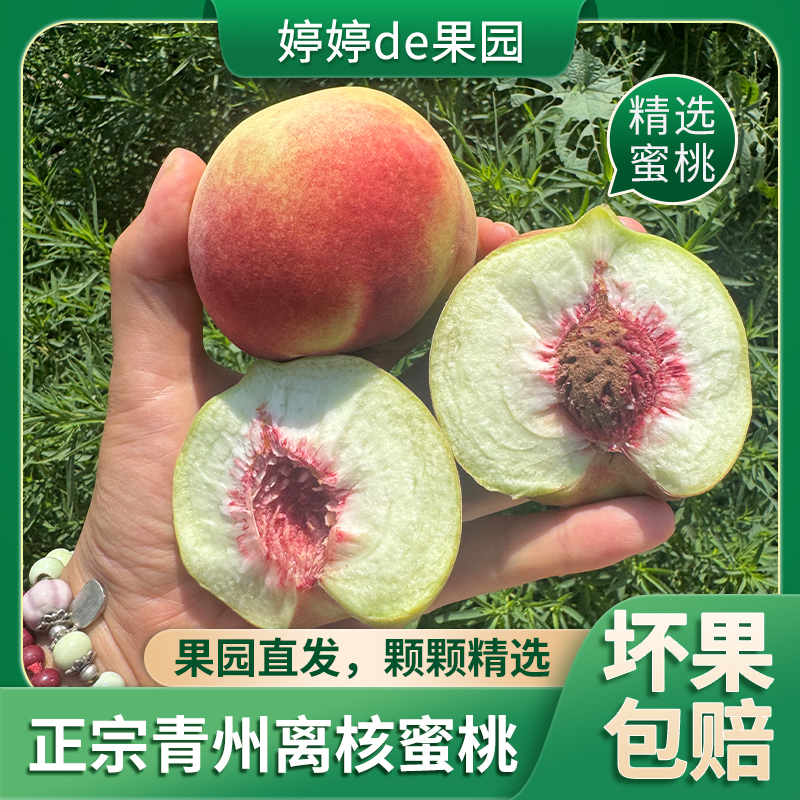 【正宗青州冬雪蜜桃】青州蜜桃老品种小冬桃蜜桃土桃山桃孕妇水果