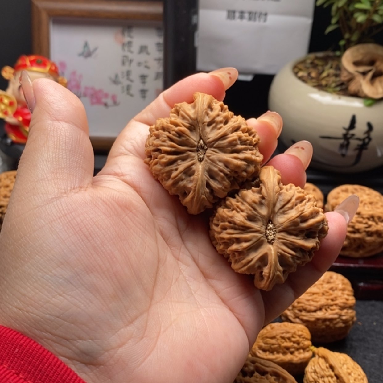 【闪购商品】悠*丶南疆石麻团全品10号