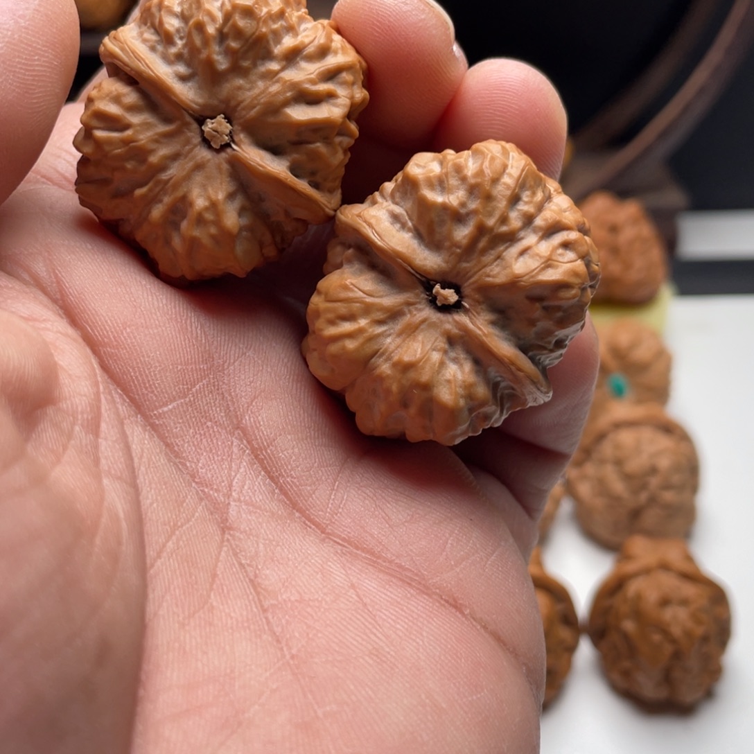 Y***n核桃蛤蟆头核桃 34