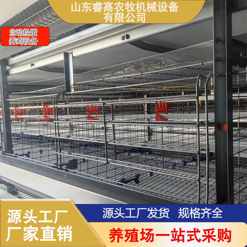 鸡笼子蛋鸡肉鸡笼自动捡蛋养鸡场设备可来图制鸡笼特大号清仓处理