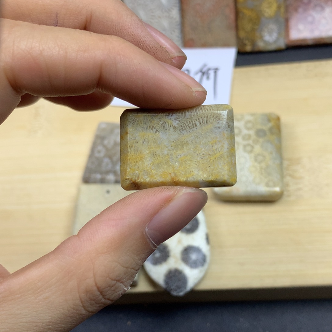 9***9硅化珊瑚（珊瑚玉）未镶嵌颈饰