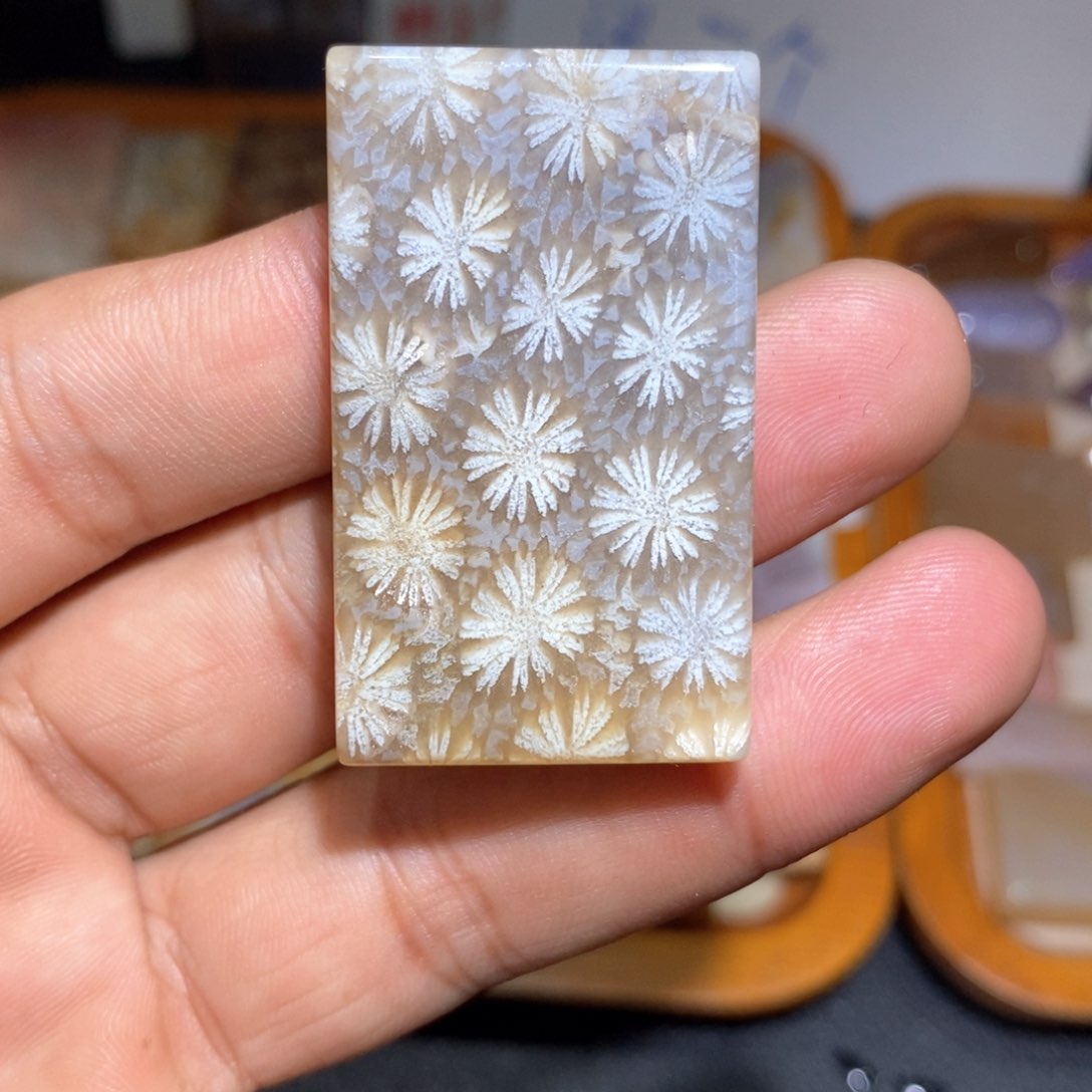 【闪购商品】硅化玉颈饰未镶嵌