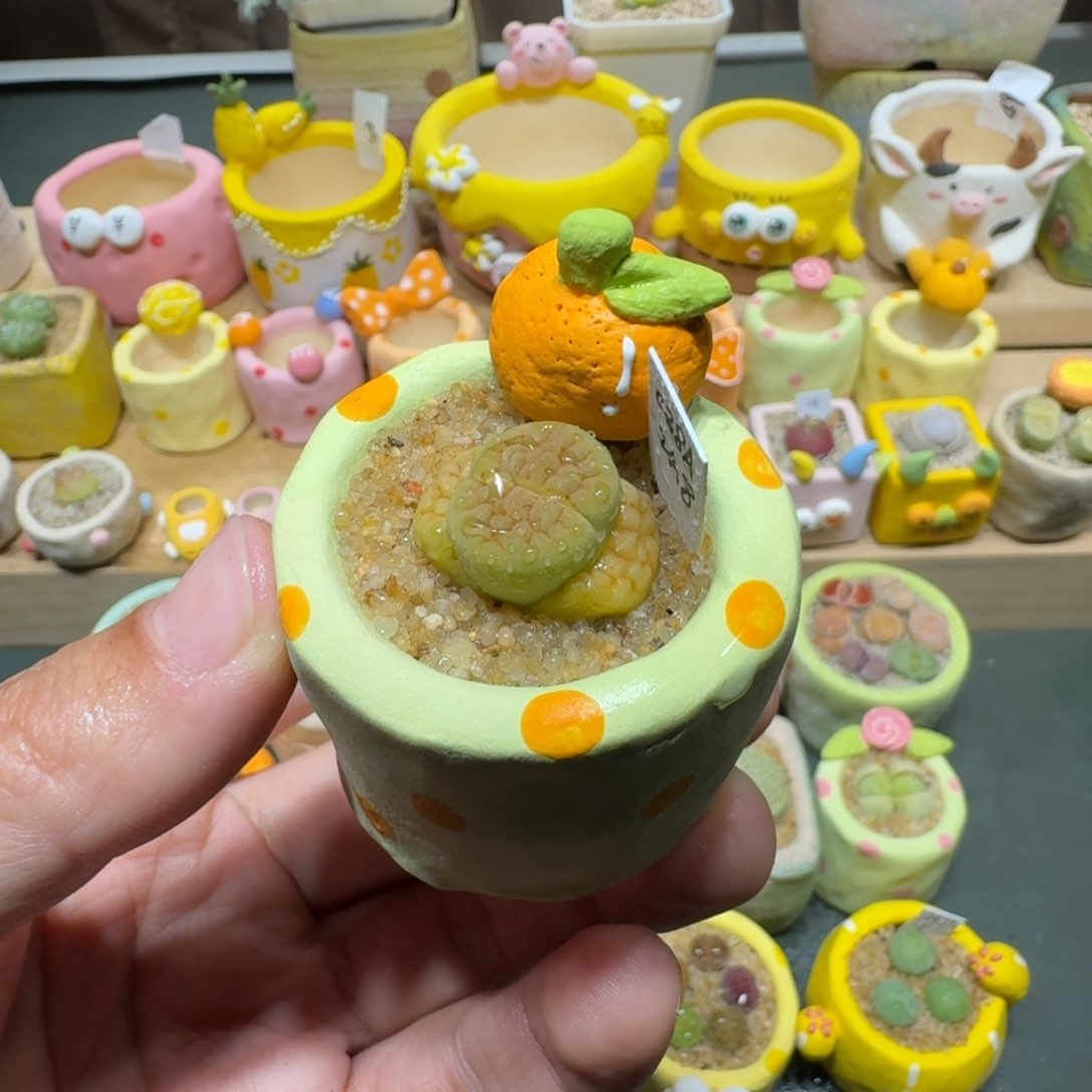 红陶蘑菇445黄绿富贵