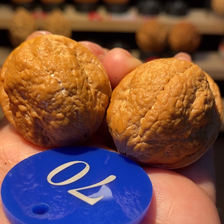 木质类开背羊头蟾35尺寸，虚尖精修