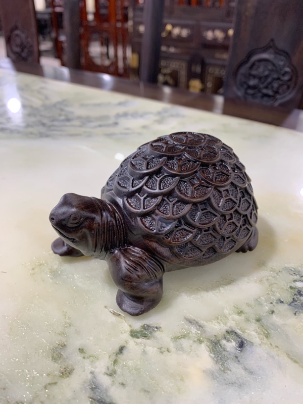 手工艺非遗 金钱龟