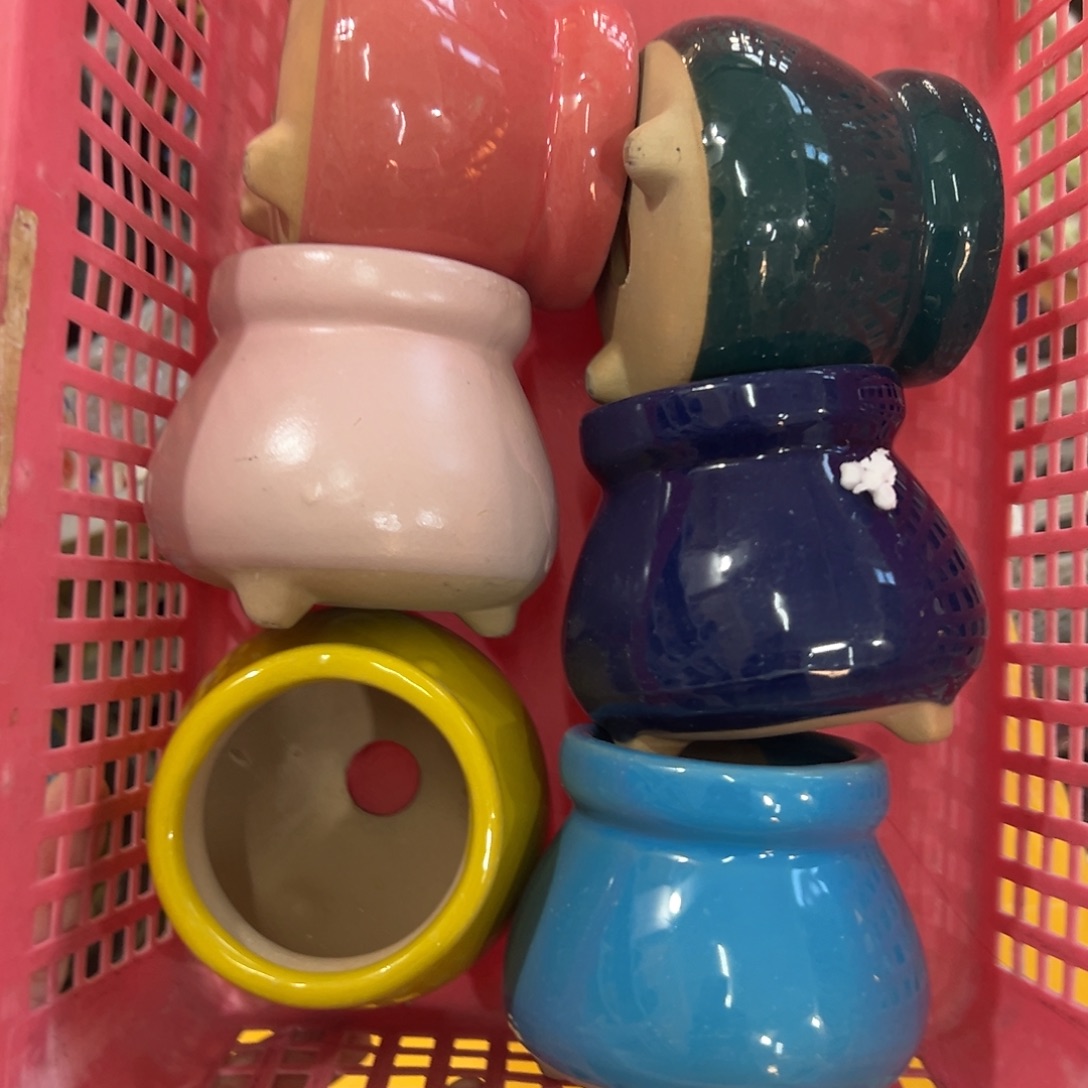 花盆拍满20元发货退款拉黑